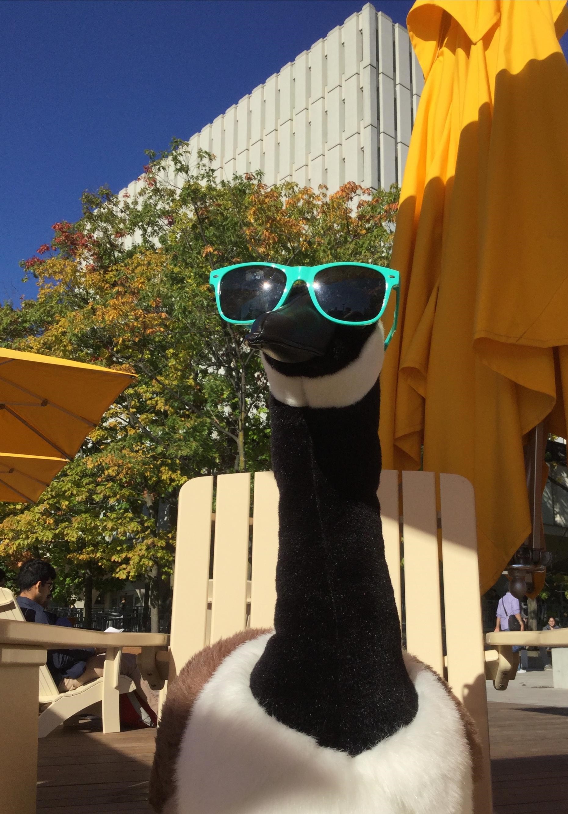 Mr. Goose